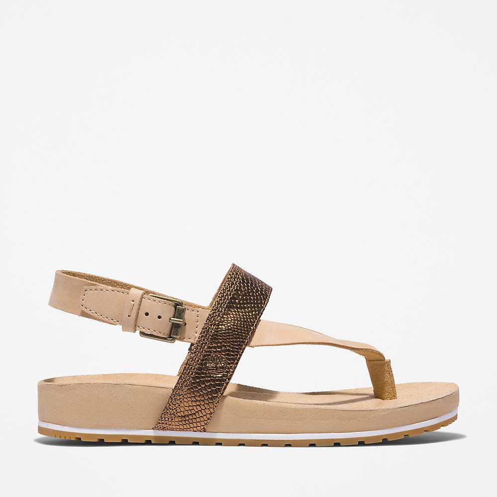 Beige Women's Timberland Malibu Beach Flip Flops | Israel-8723956