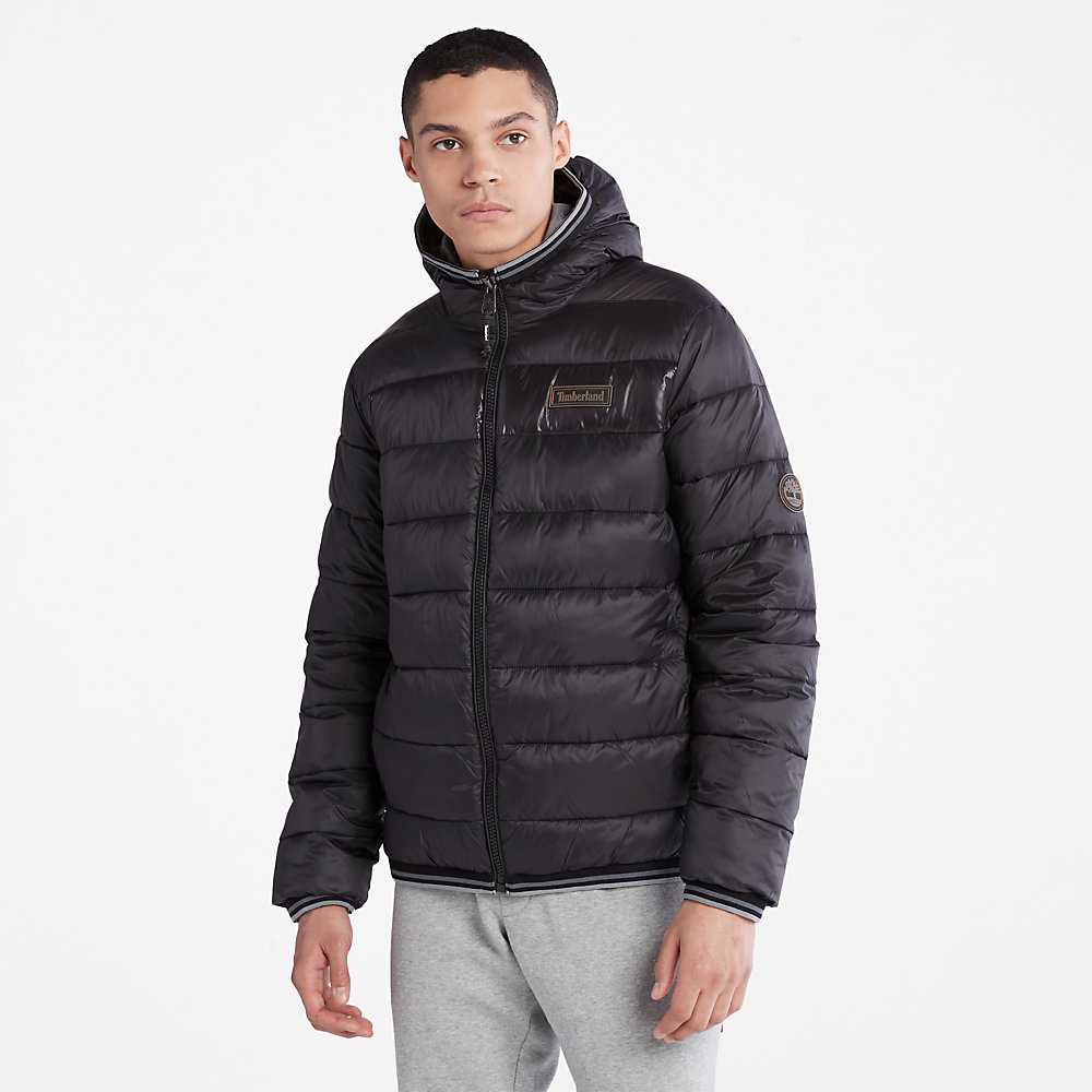 Black Men's Timberland Garfield Down Jackets | Israel-3197425