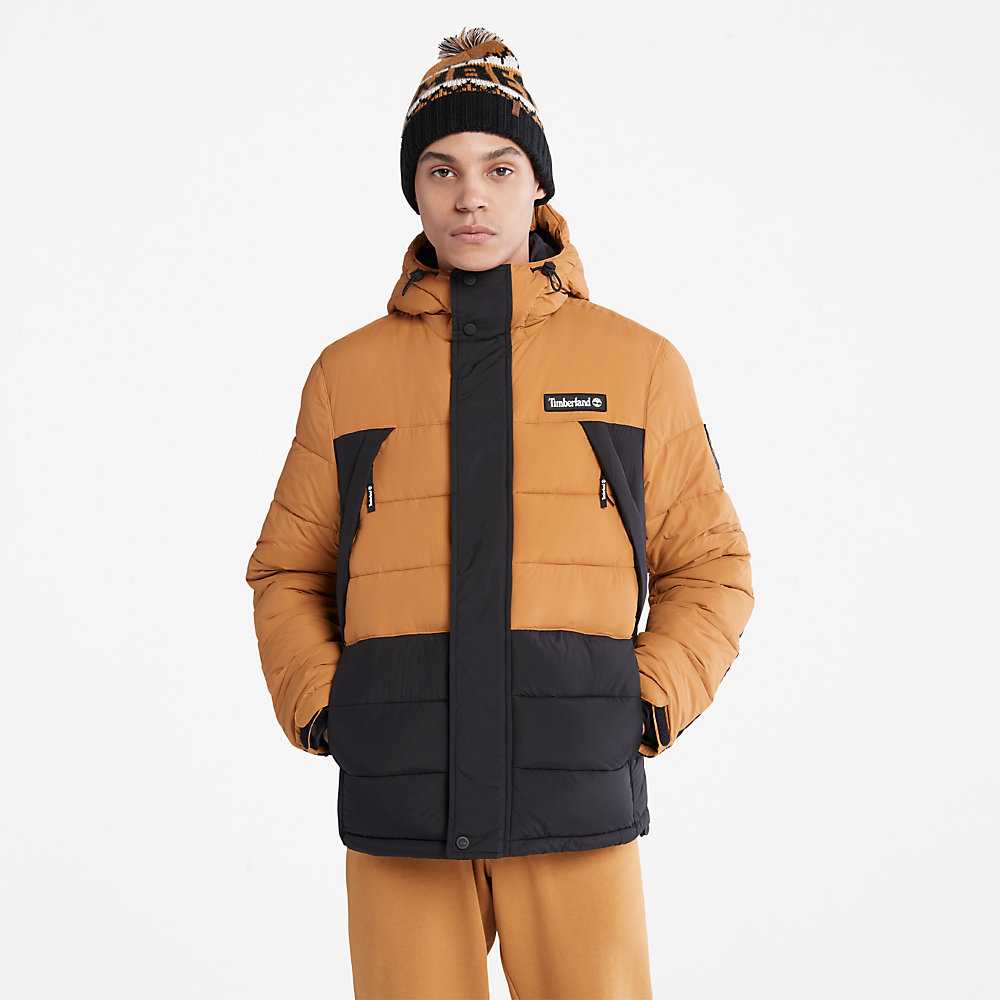 Black Men's Timberland Outdoor Archive Down Jackets | Israel-5703128