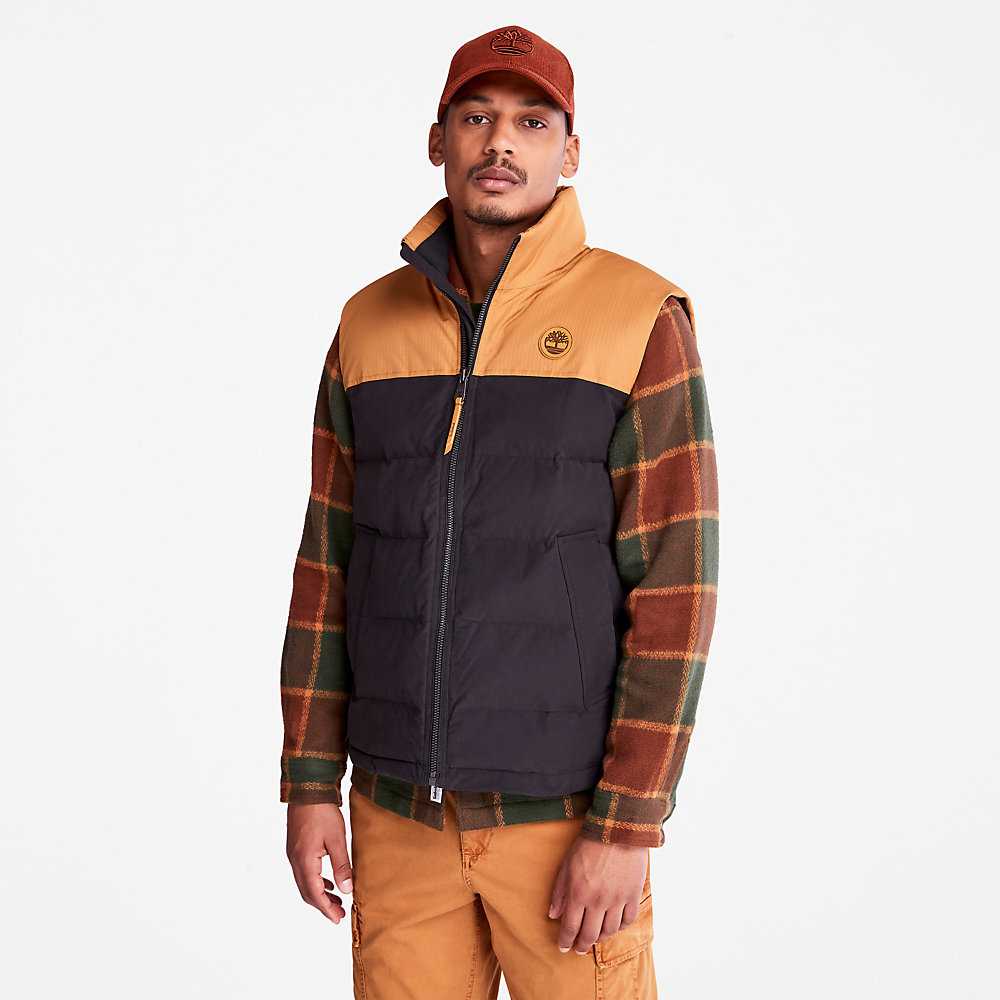 Black Men's Timberland Welch Mountain Vest | Israel-5317084