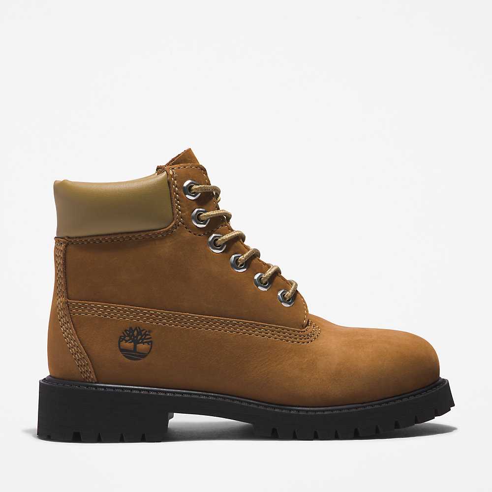 Brown Kids' Timberland Premium® 6 Inch Waterproof Boots | Israel-4219582