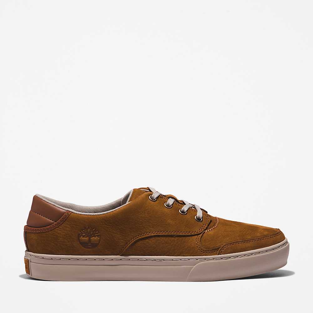 Brown Men's Timberland Adventure 2.0 Low Sneakers | Israel-4950218