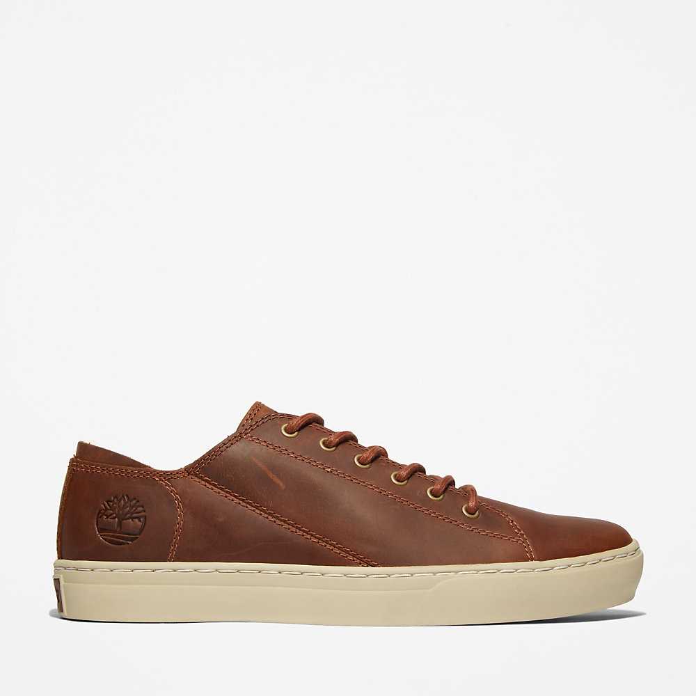 Brown Men's Timberland Adventure 2.0 Sneakers | Israel-3106472