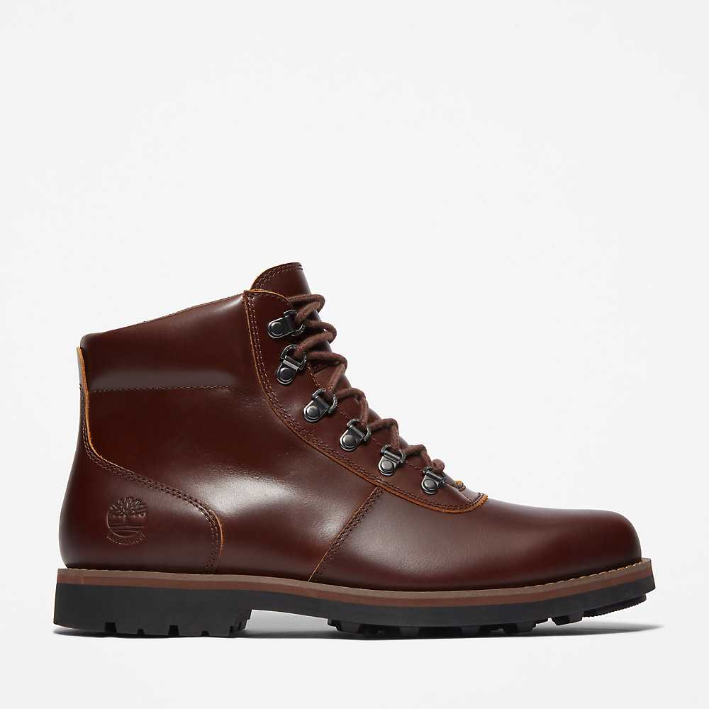 Brown Men's Timberland Alden Brook Waterproof Boots | Israel-8796543