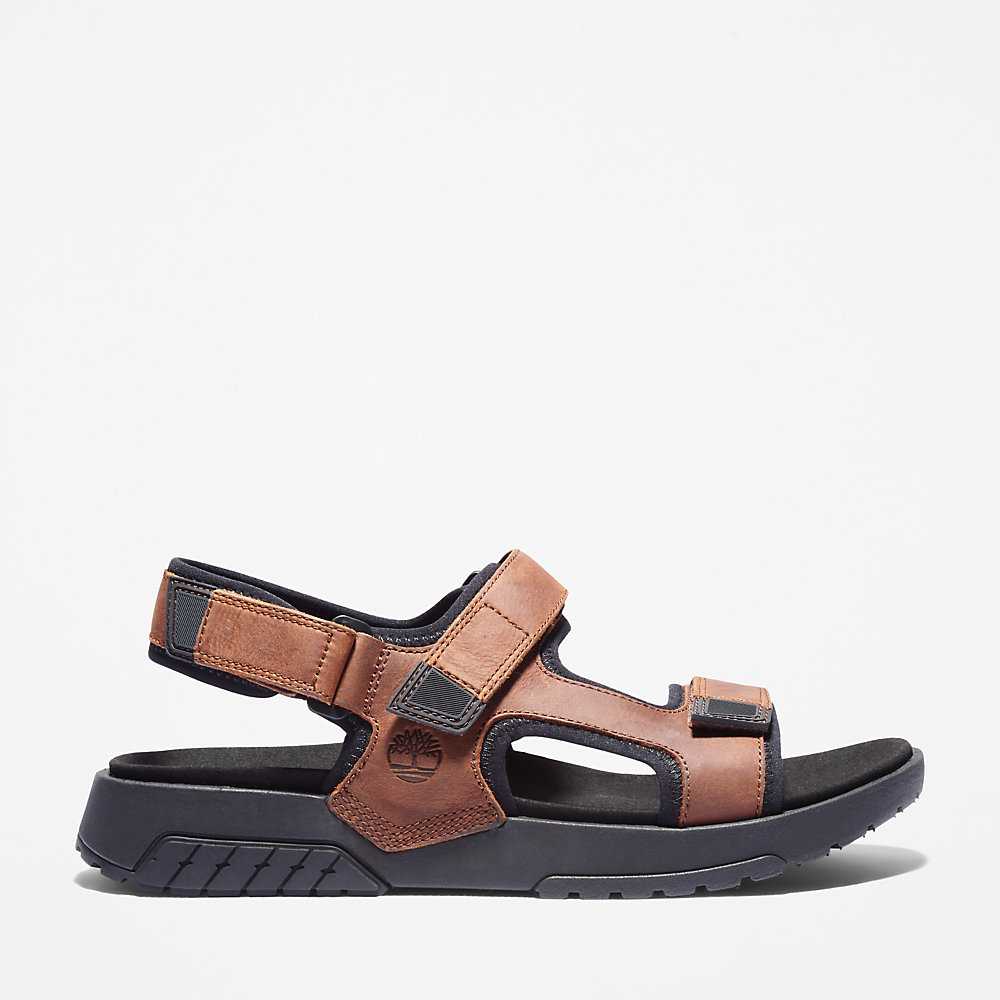 Brown Men's Timberland Anchor Watch Sandals | Israel-0543698