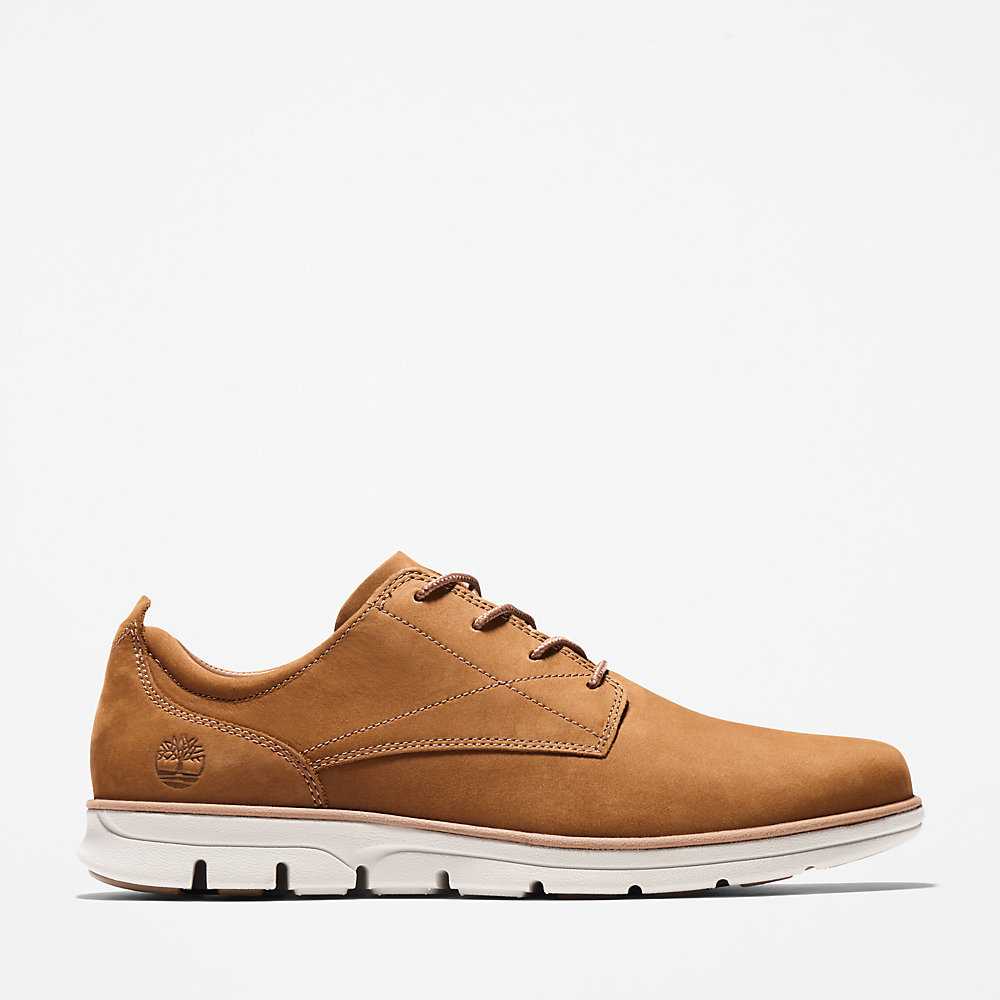 Brown Men's Timberland Bradstreet Sneakers | Israel-2716493