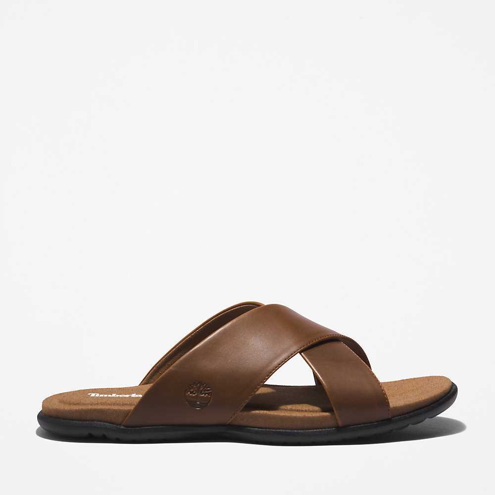 Brown Men's Timberland Kesler Cove Sandals | Israel-1857239