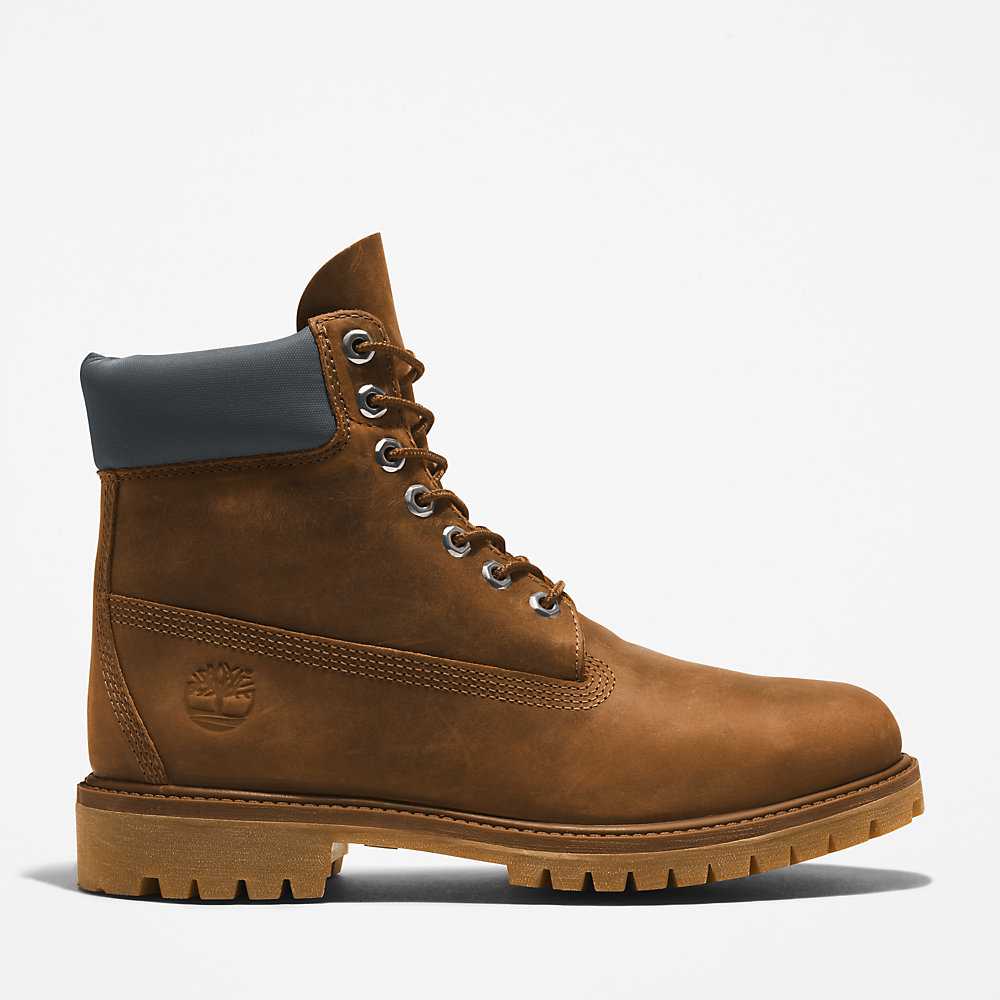 Brown Men's Timberland Premium® 6 Inch Waterproof Boots | Israel-9586374