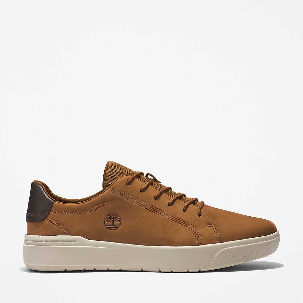 Brown Men's Timberland Seneca Bay Sneakers | Israel-2713859