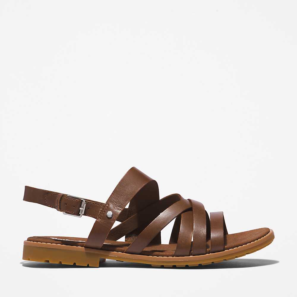 Brown Women's Timberland Chicago Sandals | Israel-8215349