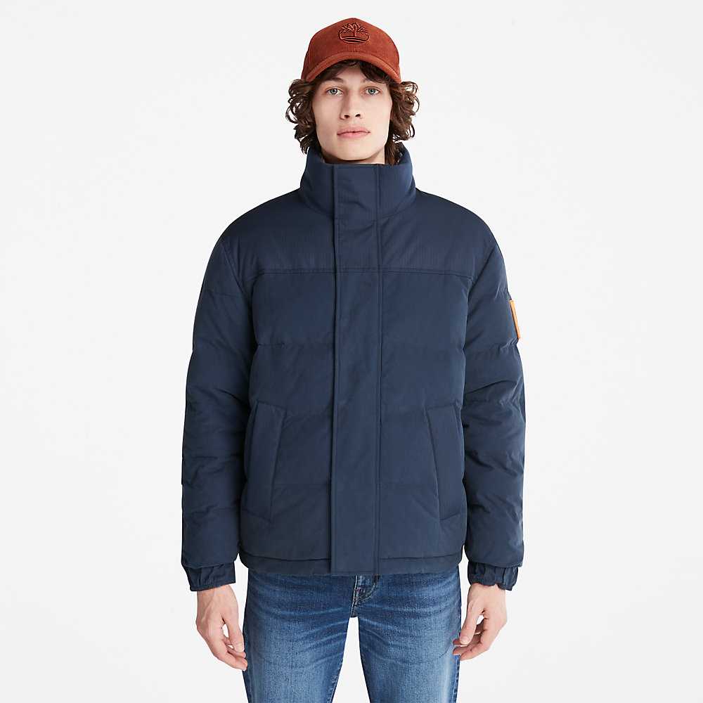 Dark Blue Men's Timberland Welch Mountain Down Jackets | Israel-9320645