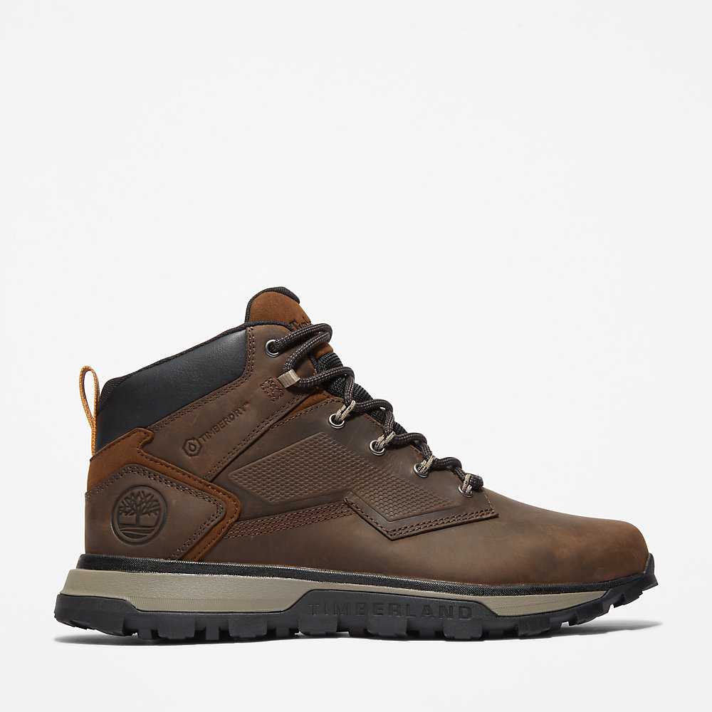 Dark Brown Men's Timberland Treeline Hiking Boots | Israel-8679051