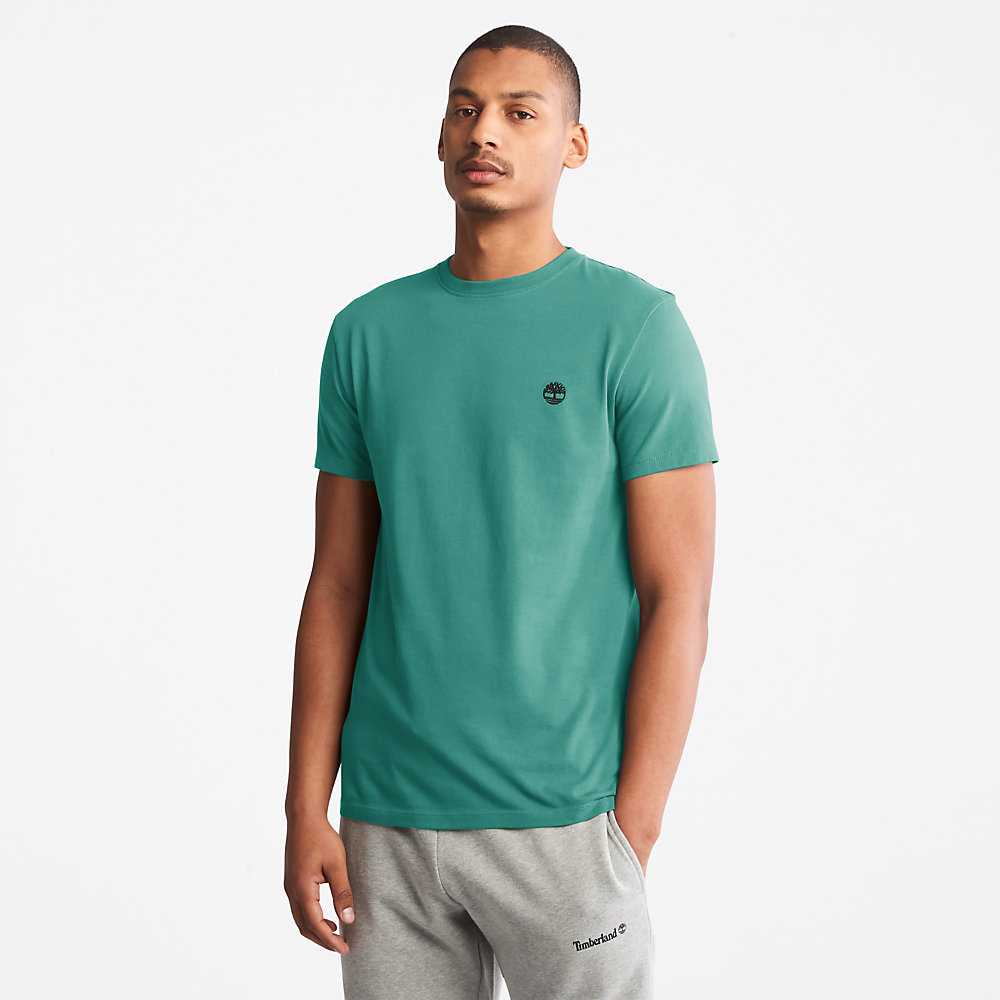 Green Men's Timberland Dunstan River T Shirts | Israel-1078296