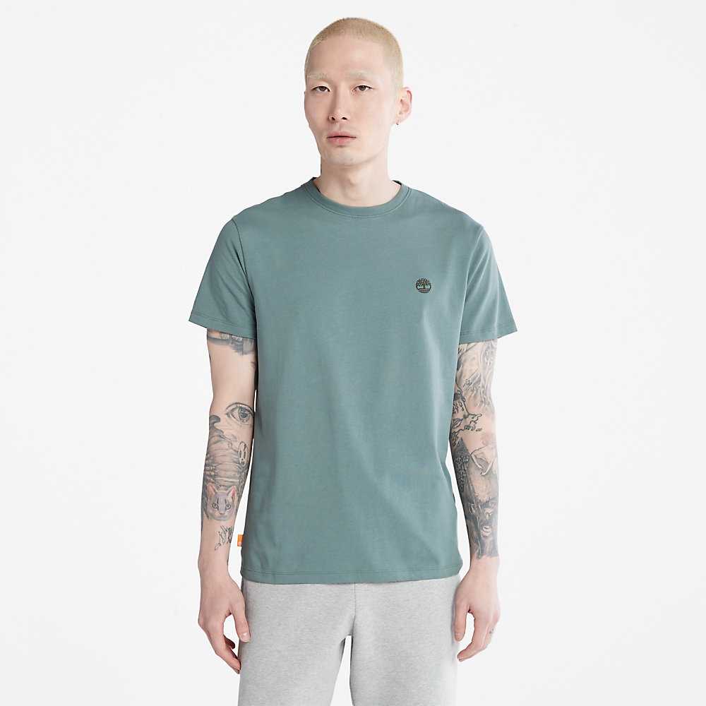 Green Men's Timberland Dunstan River T Shirts | Israel-8379165