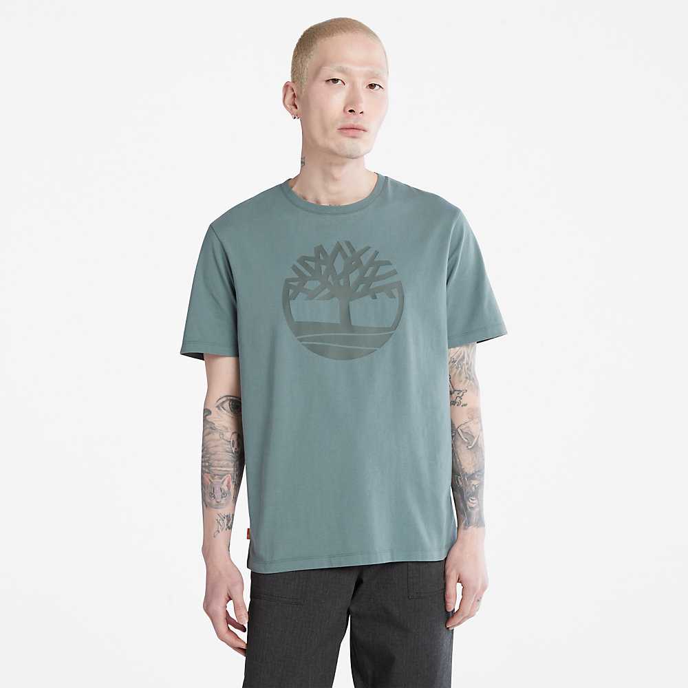 Green Men's Timberland Kennebec River T Shirts | Israel-3701428