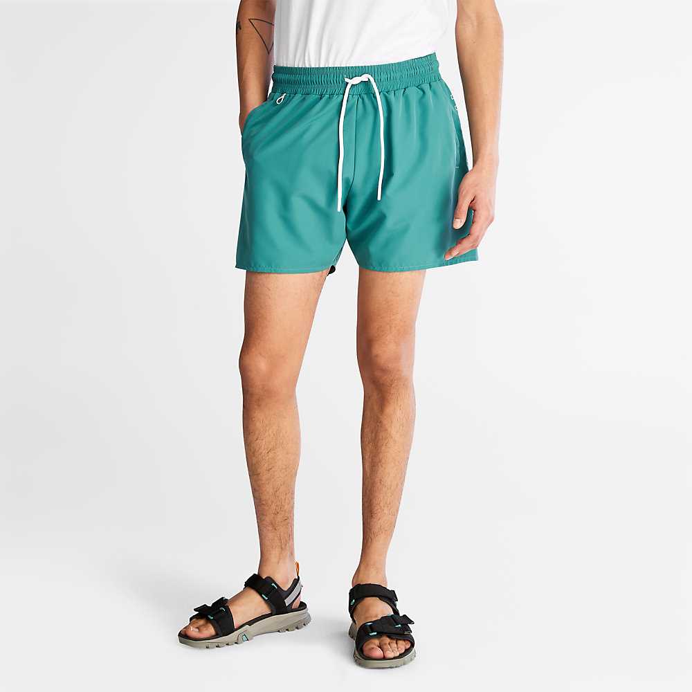 Green Men's Timberland Sunapee Lake Shorts | Israel-6302185