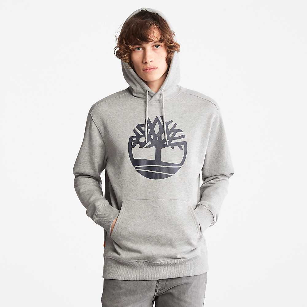 Grey Men's Timberland Core Tree Logo Hoodie | Israel-0542163