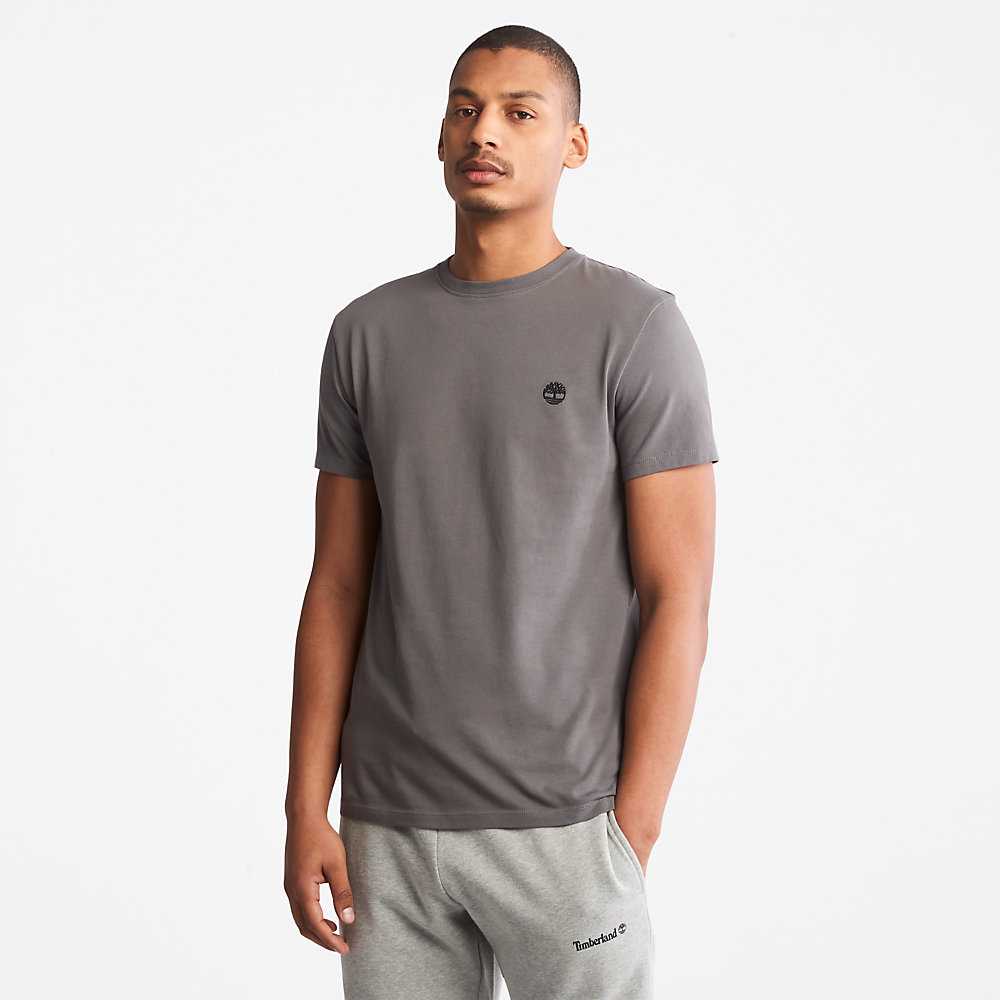 Grey Men's Timberland Dunstan River T Shirts | Israel-1653097