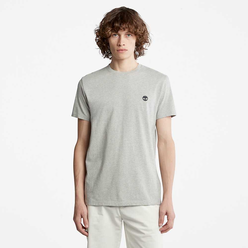 Grey Men's Timberland Dunstan River T Shirts | Israel-2586937