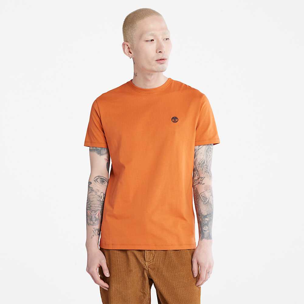 Orange Men's Timberland Dunstan River T Shirts | Israel-6731459