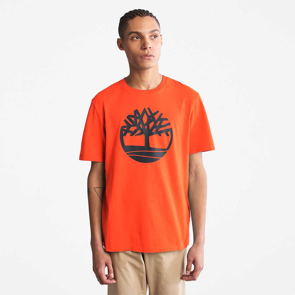 Orange Men's Timberland Kennebec River T Shirts | Israel-0123479