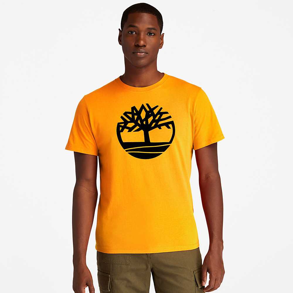 Orange Men's Timberland Kennebec River T Shirts | Israel-2431678