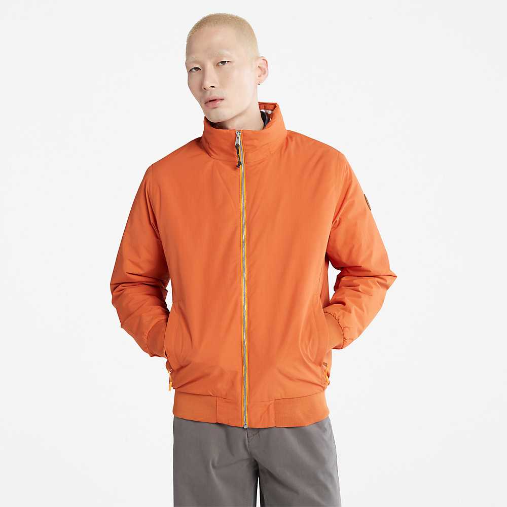 Orange Men's Timberland Mount Lafayette Bomber Jacket | Israel-7645832