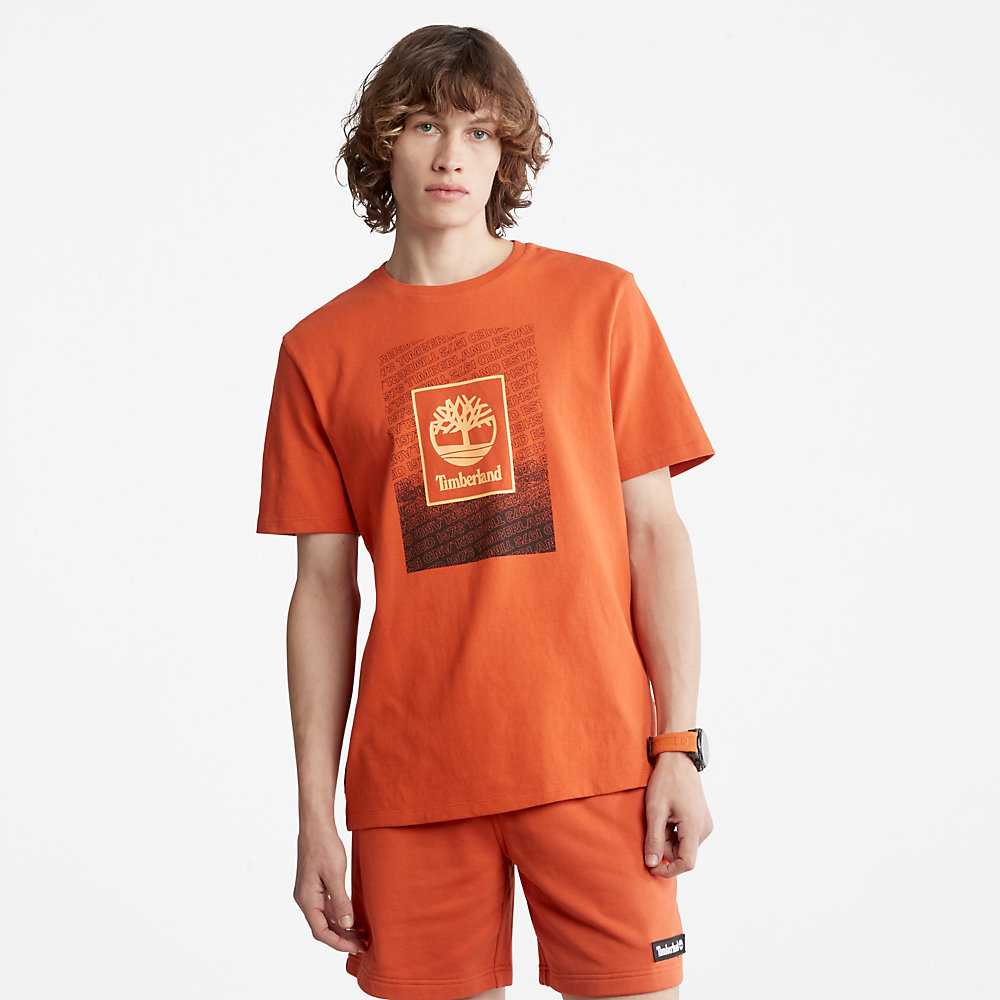 Orange Men's Timberland Outdoor Archive T Shirts | Israel-0874932