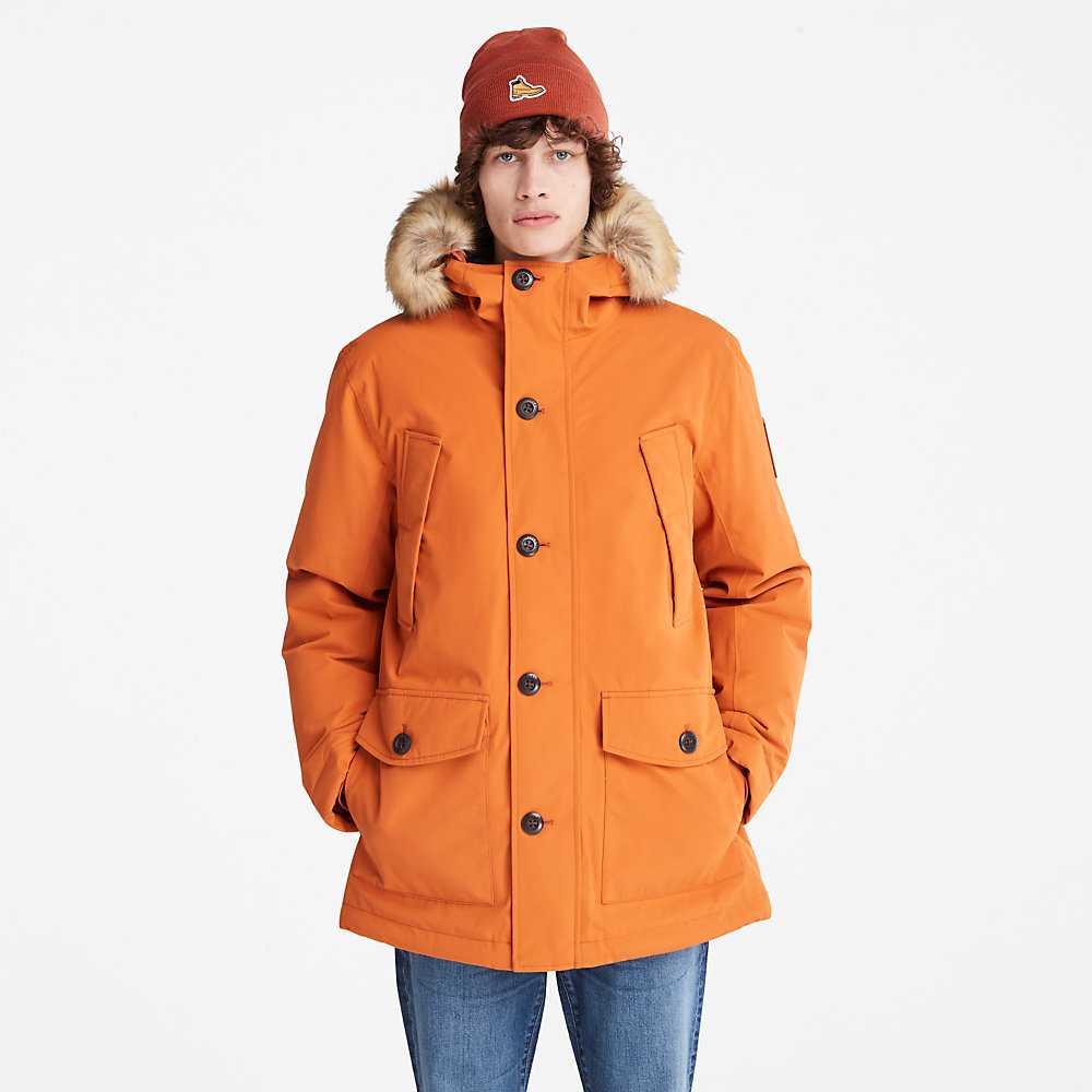 Orange Men's Timberland Scar Ridge Parka Jackets | Israel-8906753