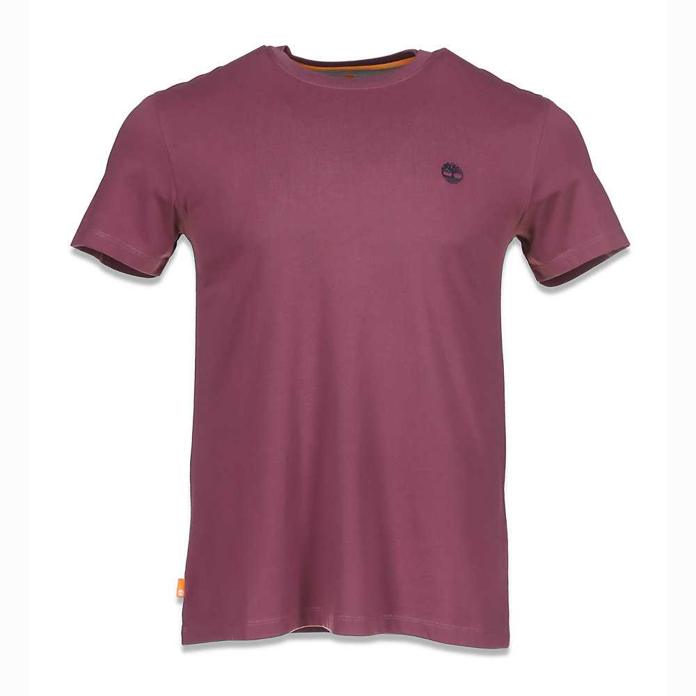 Purple Men's Timberland Dunstan River T Shirts | Israel-2316540