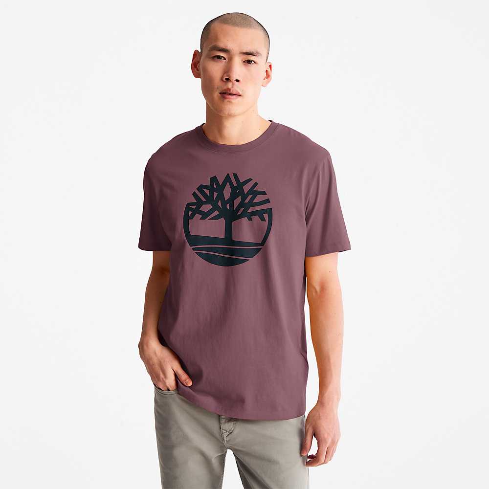 Purple Men's Timberland Kennebec River T Shirts | Israel-7980312