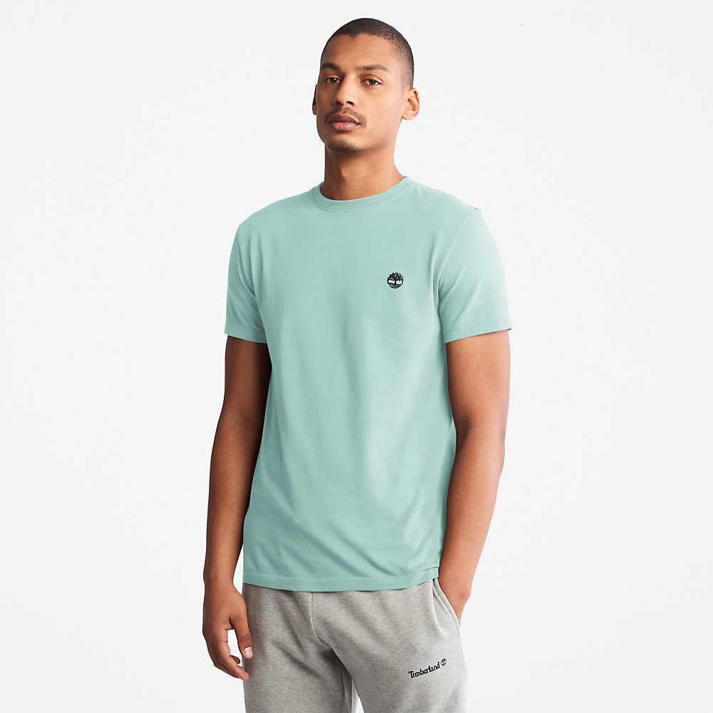 Turquoise Men's Timberland Dunstan River T Shirts | Israel-8342510