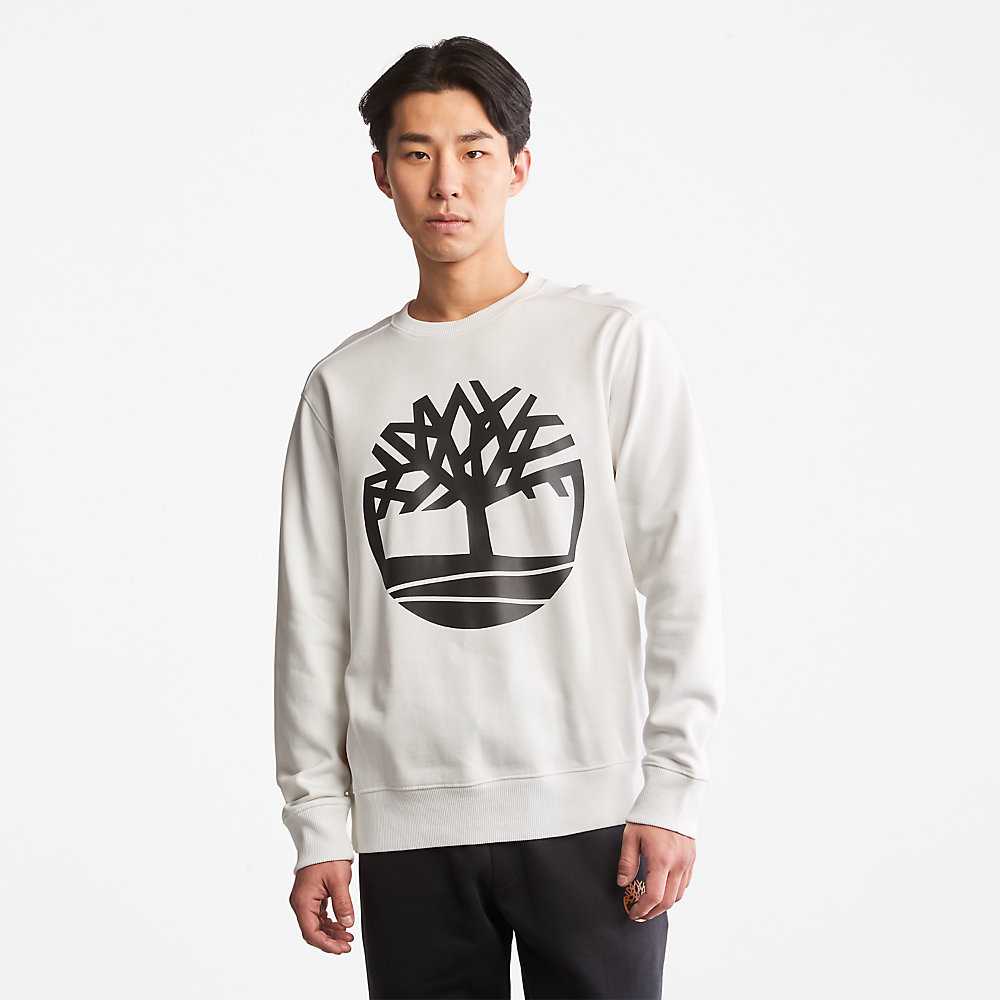 White Men's Timberland Core Tree Logo Sweatshirt | Israel-1240673