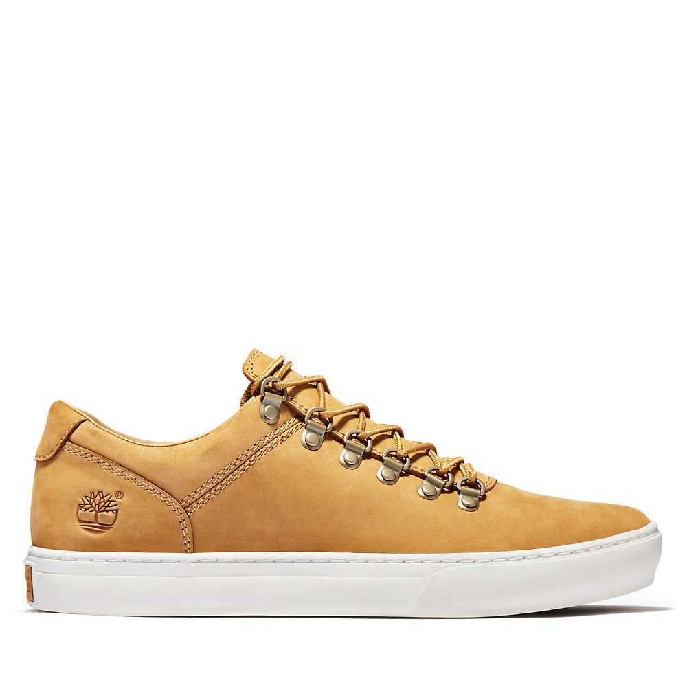 Yellow Men's Timberland Adventure 2.0 Cupsole Alpine Sneakers | Israel-3547026