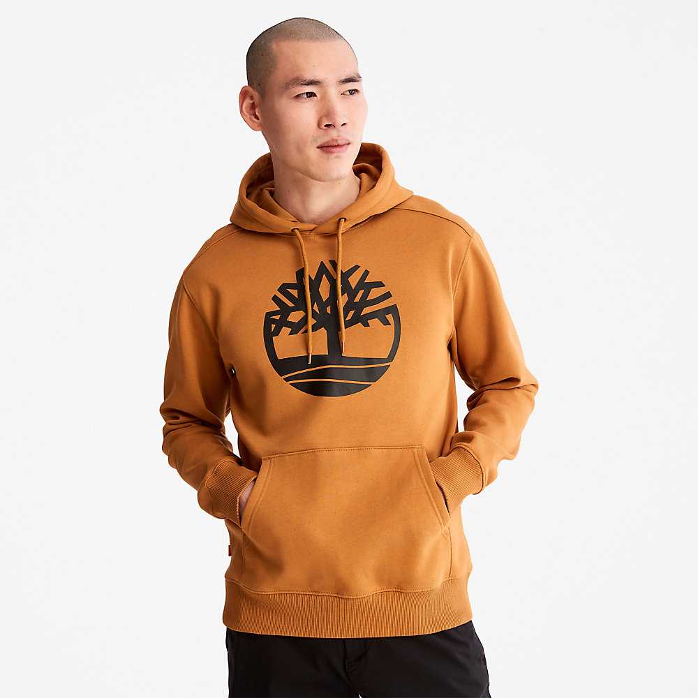 Yellow Men's Timberland Core Tree Logo Hoodie | Israel-7961548