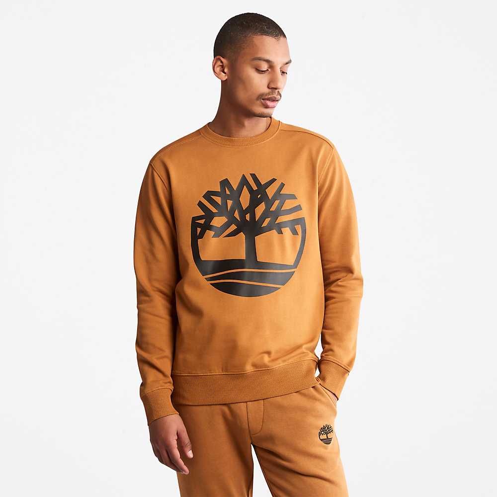 Yellow Men's Timberland Core Tree Logo Sweatshirt | Israel-2086351