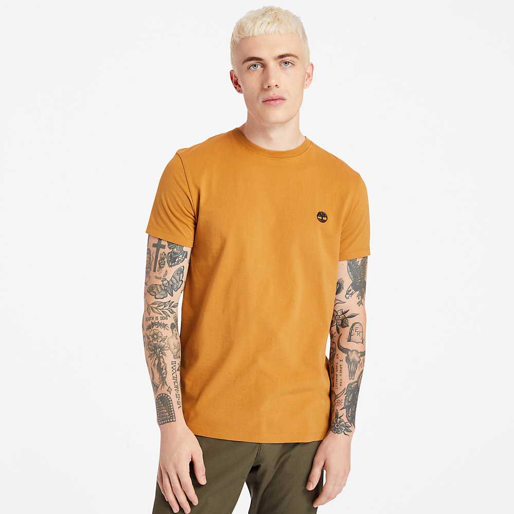 Yellow Men's Timberland Dunstan River T Shirts | Israel-1850976