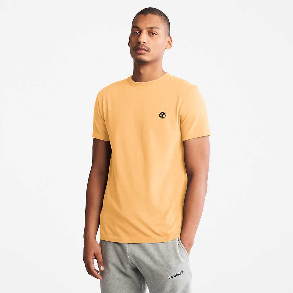 Yellow Men's Timberland Dunstan River T Shirts | Israel-3896045