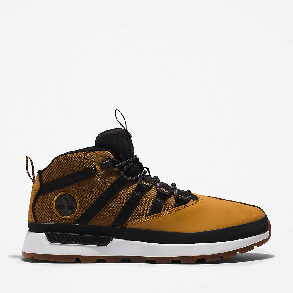 Yellow Men's Timberland Euro Trekker Sneakers | Israel-4960375