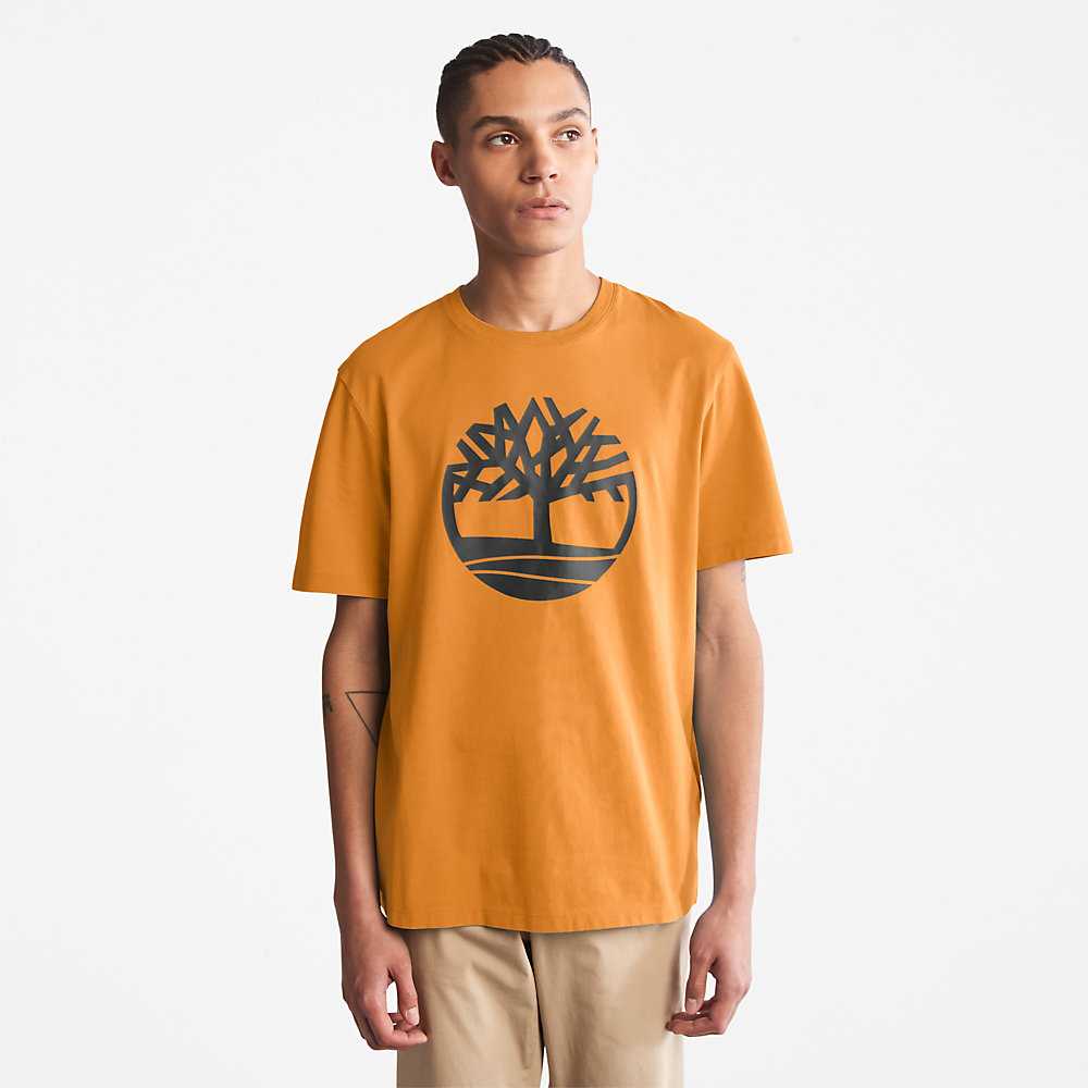 Yellow Men's Timberland Kennebec River T Shirts | Israel-1354096