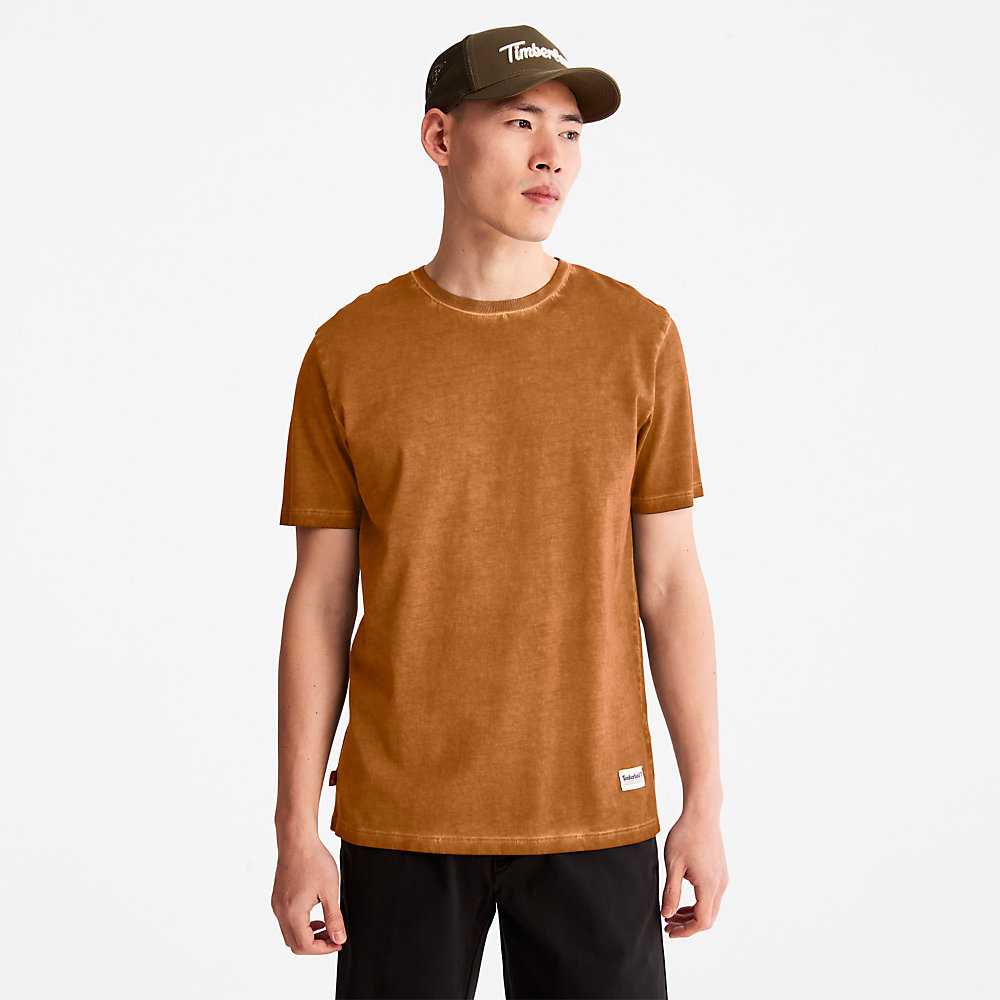 Yellow Men's Timberland Lamprey River T Shirts | Israel-0912876