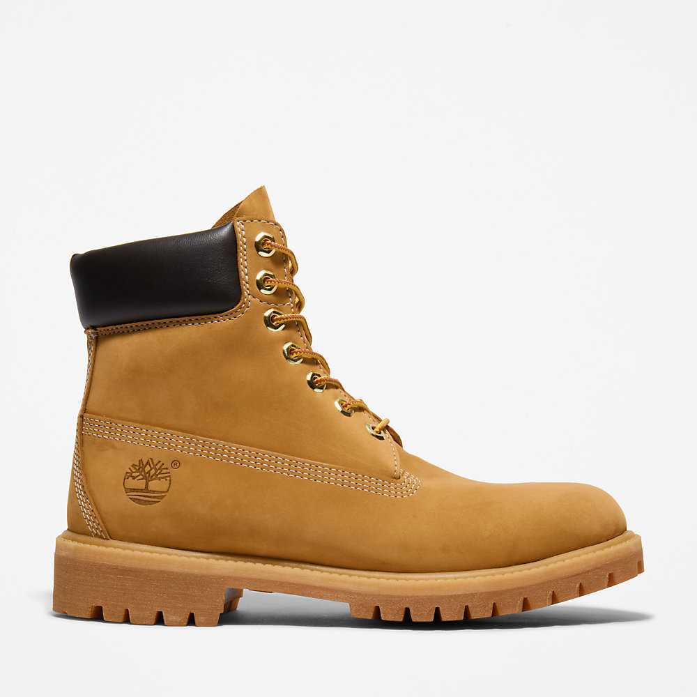 Yellow Men's Timberland Premium® 6 Inch Waterproof Boots | Israel-1364289